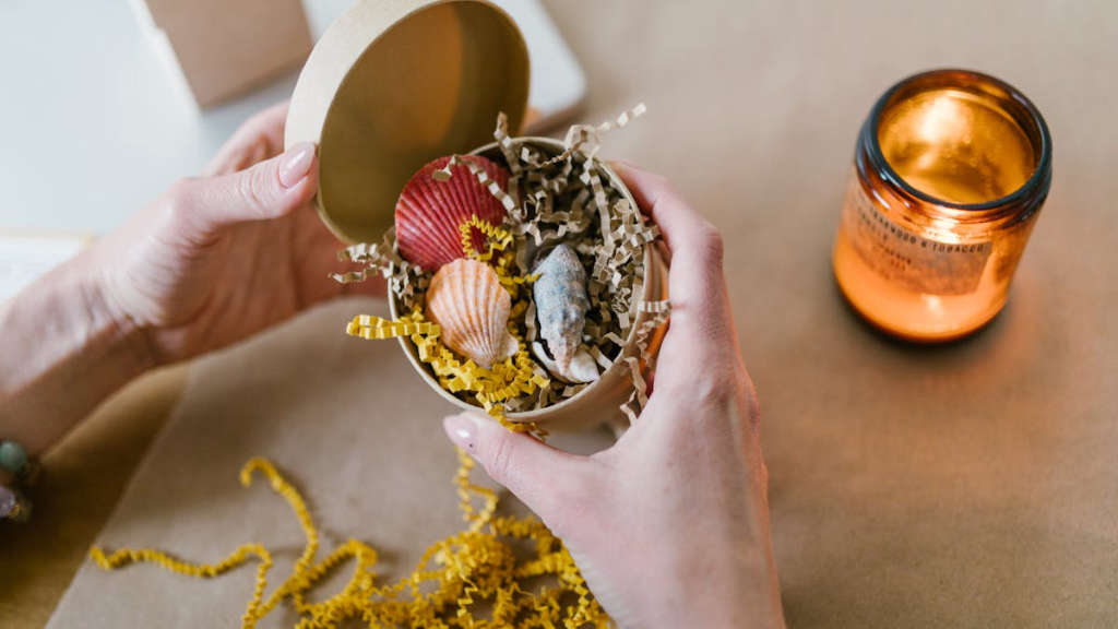 Dropshipping Fantazi İç Giyim