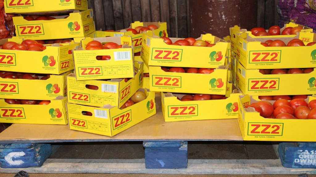 Toptan Fantazi Giyim