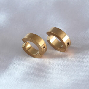 Tegan 316L Çelik Gold Renk Sıkıştırmalı Erkek Küpe TG27EKP278