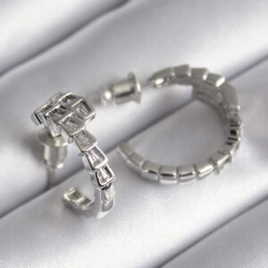 Tegan Pirinç Gümüş Renk Zirkon Taşlı Yılan Model Kadın Küpe TG27BKP9789