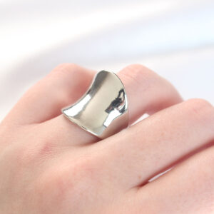 Tegan Silver Renk Ayarlanabilir Kavisli Ayna Yüzük TG27BYK3114