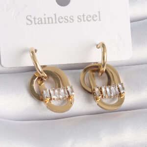 Tegan 316L Çelik Gold Renk Zirkon Taşlı Halka Model Kadın Küpe TG27BKP9571