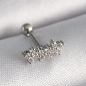 Tegan 316L Çelik Gümüş Renk Zirkon Taşlı Yonca Tragus Piercing TG27PR1255