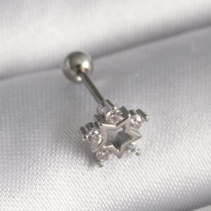 Tegan 316L Çelik Gümüş Renk Zirkon Taşlı Yıldız Model Tragus Piercing TG27PR1297