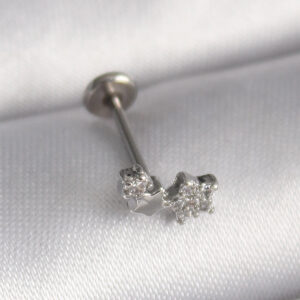 Tegan 316L Çelik Gümüş Renk Zirkon Taşlı Yıldız Model Tragus Piercing TG27PR1353