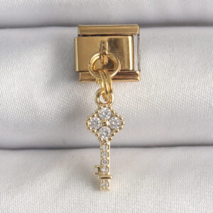 Tegan 316L Çelik Gold Renk Sallantı Zirkon Taşlı Anahtar Model Nomination Charm TG27BC1347