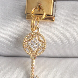 Tegan 316L Çelik Gold Renk Sallantı Zirkon Taşlı Anahtar Model Nomination Charm TG27BC1347