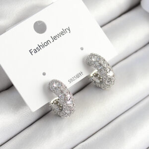 Tegan Pirinç Zirkon Taşlı Halka Model Gümüş Renk Kadın Küpe TG27BKP11076