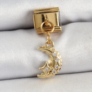 Tegan 316L Çelik Sallantılı Zirkon Taşlı Ay Model Gold Renk Nomination Charm TG27BC1431