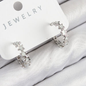 Tegan Pirinç Zirkon Taşlı Yıldız Model Gümüş Renk Kadın Küpe TG27BKP11065