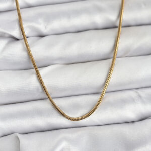 Tegan 316L Çelik Zincir Gold Renk 60 cm Yılan Zincir Kadın Kolye TG27BKO10682