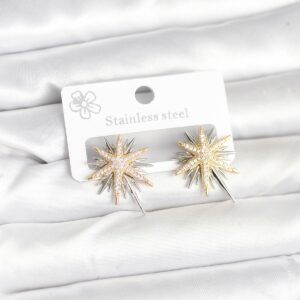 Tegan Pirinç Gümüş Renk Kutup Yıldızı Kadın Küpe TG27BKP11392