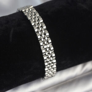 Tegan 316L Çelik 9 mm Kalınlıkta Gümüş Renkli Erkek Bileklik TG27EB3774