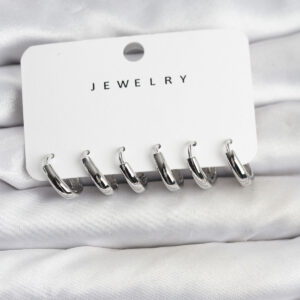 Tegan Gümüş Renk Pirinç Halka Kadın Küpe Seti TG27BKP11482