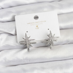 Tegan Gümüş Renk Pirinç Çift Taraflı Kutup Yıldızı Kadın Küpe TG27BKP11511