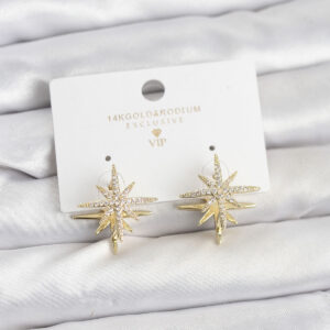 Tegan Gold Renk Pirinç Çift Taraflı Kutup Yıldızı Kadın Küpe TG27BKP11512