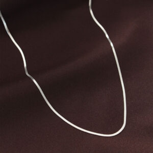 Tegan Çelik Gümüş Renk 60 cm İnce İtalyan Zincir Kolye TG27BKO6226