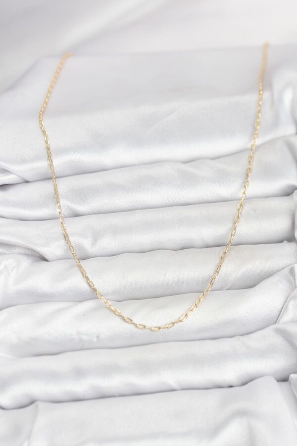 1770128255_BKO10934-2