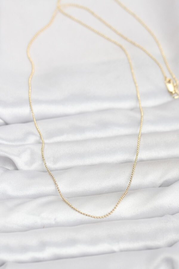 1770128395_BKO10943-2