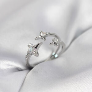 Tegan Minimal Kutup Yıldızı Model Gümüş Renk Kadın Yüzük TG27BYK4134