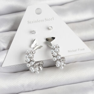 Tegan Pirinç Gümüş Renk Kelebek Detaylı Kadın Küpe Seti TG27BKP11700